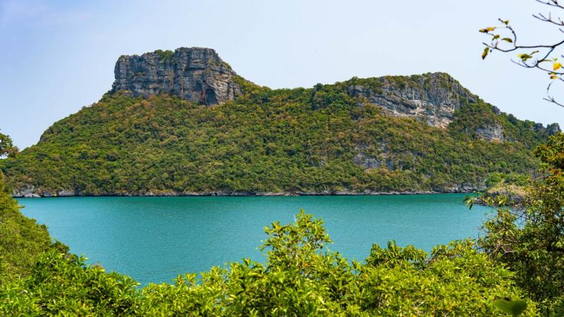 Зеленая лагуна с бирюзовой водой, окруженная холмами, покрытыми густой растительностью. На переднем плане видны кустарники и ветки деревьев.