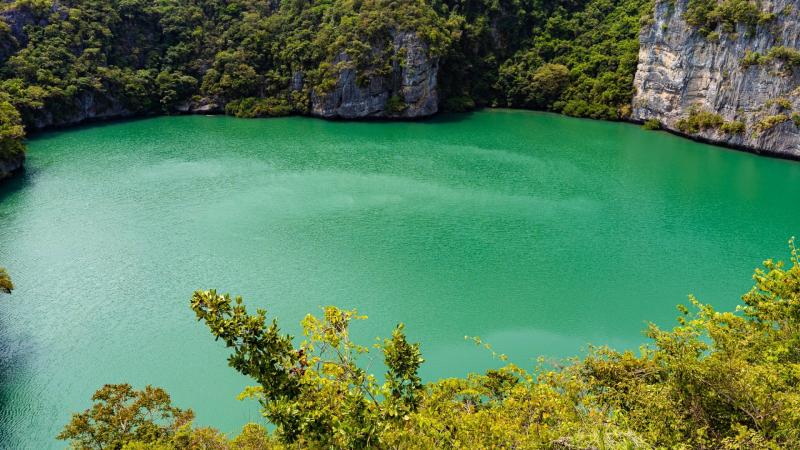 Яркая бирюзовая лагуна с гладкой поверхностью воды, окруженная крутыми скалистыми берегами, покрытыми густой тропической растительностью. На переднем плане видны ветви деревьев, обрамляющие вид на спокойную бухту.