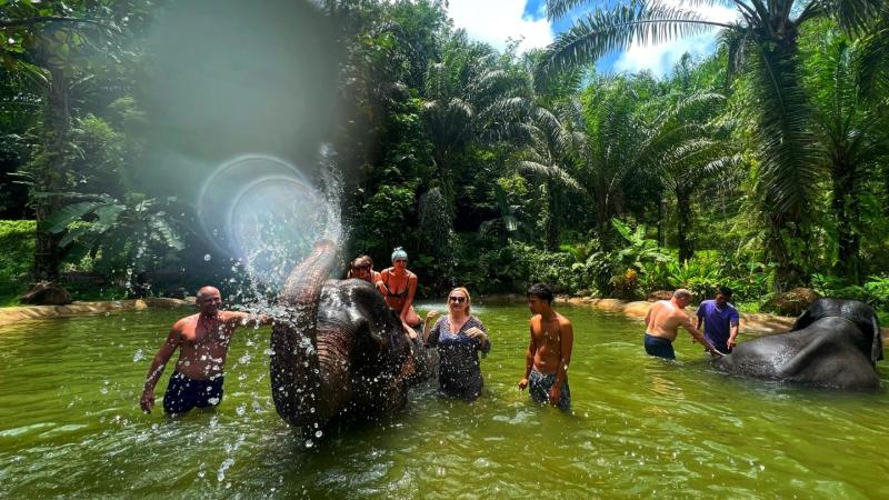 Туристы купаются со слонами в пруду с зелёной водой, слон брызгает водой из хобота