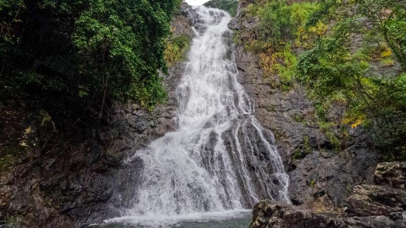 Водопад, падающий каскадом с каменистого склона в лесной чаще. Белая вода стекает по тёмным породам, окружённая густой зелёной растительностью тропических деревьев и кустарников.
