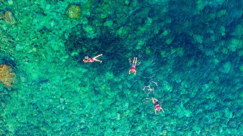 Вид сверху на троих людей, плавающих в прозрачной бирюзовой воде над рифом. Под поверхностью видны коралловые образования, а вокруг пловцов расходятся круги от их движений.