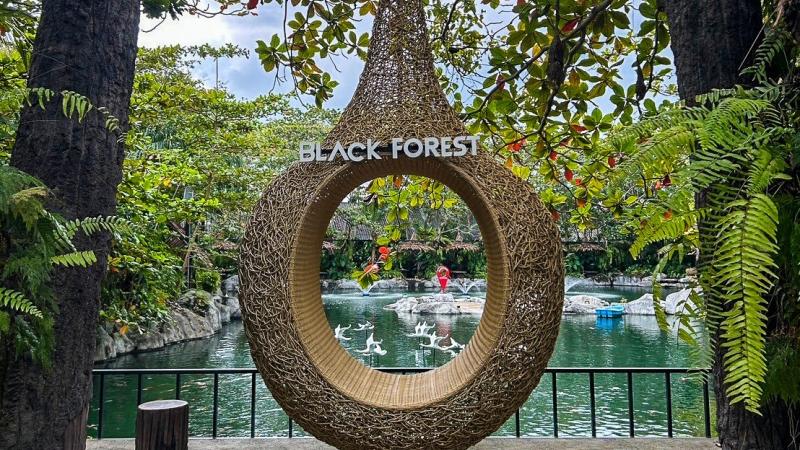 Крупное декоративное кольцо из плетеной лозы с надписью "BLACK FOREST" на фоне водоема с белыми лебедями и зелеными деревьями.