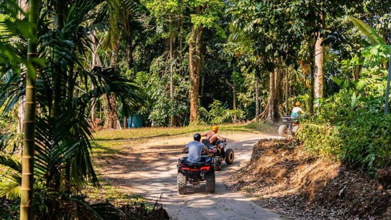 Двое на квадроциклах на узкой тропе в тропическом лесу Patong Mountain View