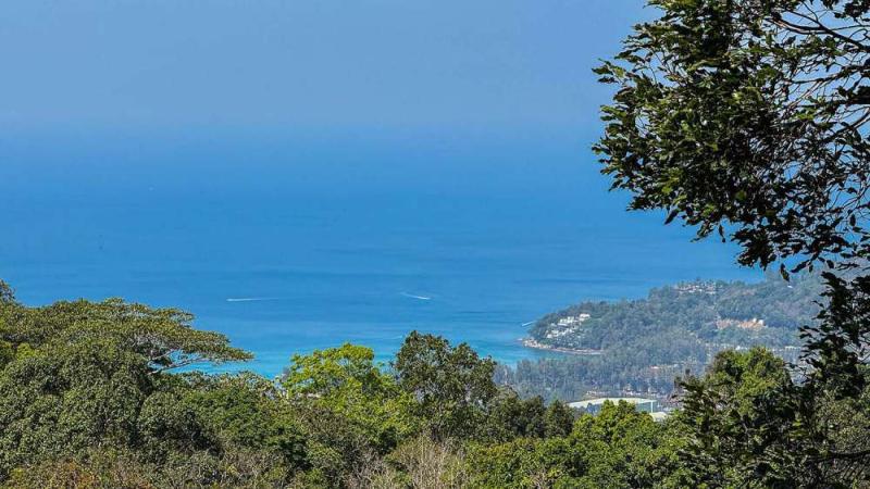 Вид с холма на море сквозь кроны деревьев — по пути на трассе Patong Mountain View