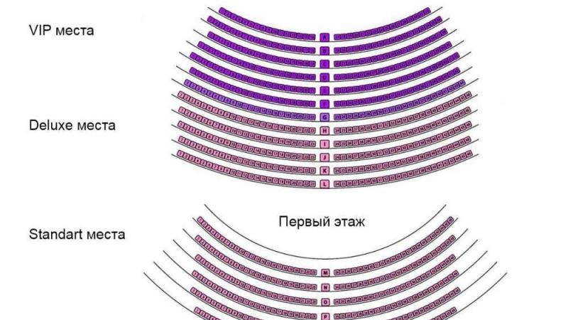 Схема рассадки в театре с разделением на три зоны: VIP места (ряды A-E), Deluxe места (ряды G-L) и Standard места (ряды M-P). В центре схемы отмечена надпись "Первый этаж".