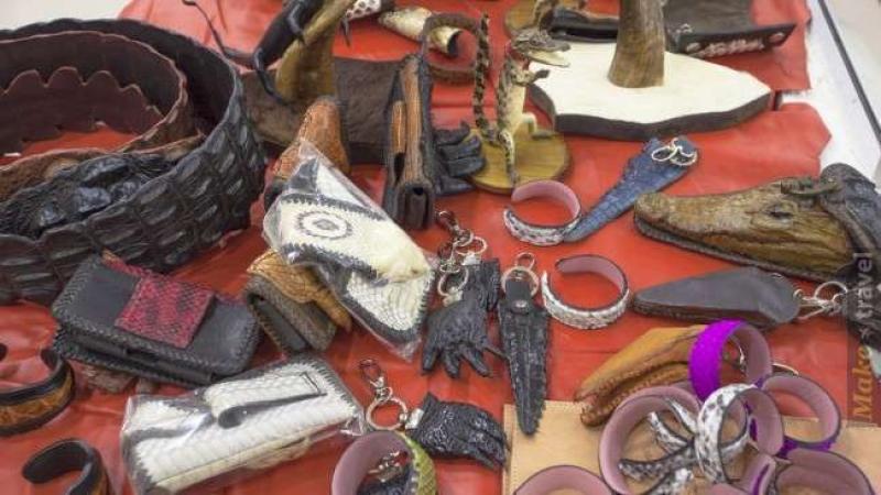 Ремни, кошельки, браслеты и ключницы из крокодиловой кожи на красной ткани