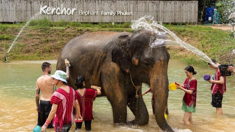 Гости в красных рубахах моют слона в пруду у вывески Kerchor Elephant Family Phuket