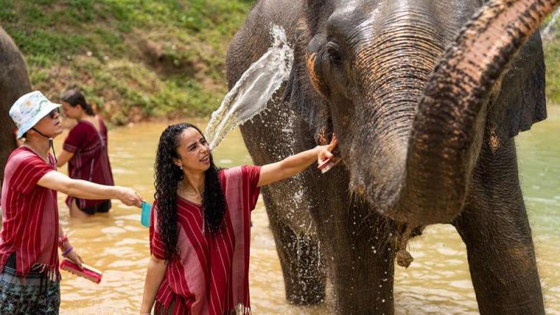 Слон брызгает водой из хобота рядом с гостьей в пруду Kerchor Elephant Family
