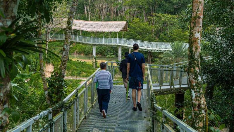Гости идут по надземной тропе через джунгли к смотровой беседке Phuket Elephant Sanctuary