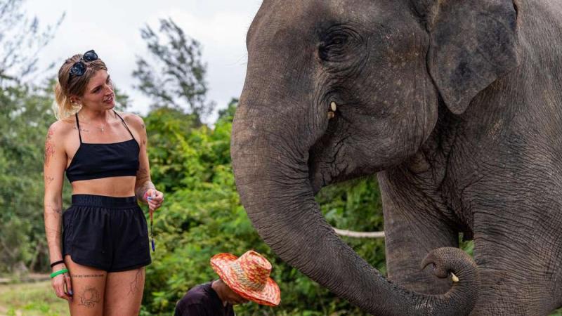 Гостья рядом со слоном на лесной поляне The Lake Phuket Elephant Home
