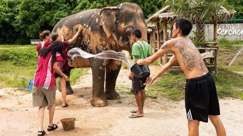 Гости обливают слона водой из ведра у вывески Kerchor Elephant Family