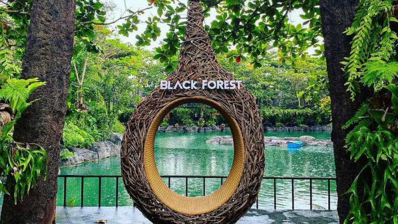 Висящее кресло из плетеной лозы с надписью "BLACK FOREST" на фоне водоема с бирюзовой водой и камнями. Вокруг много зелени, тропические растения и деревья, создающие атмосферу джунглей.