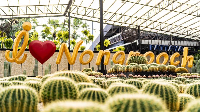Надпись I love Nongnooch в оранжерее с кактусами