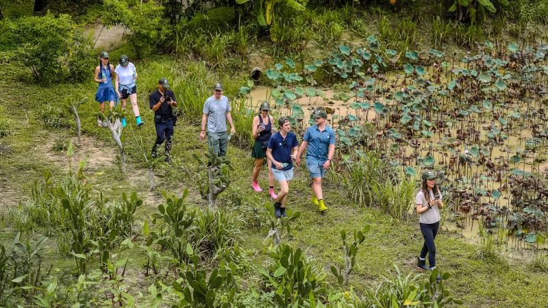 Гости идут по тропе через луг в Phuket Elephant Sanctuary