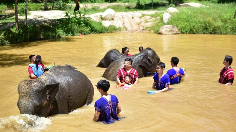 Гости в рубахах каренов купаются со слонами в пруду Kerchor Elephant Family