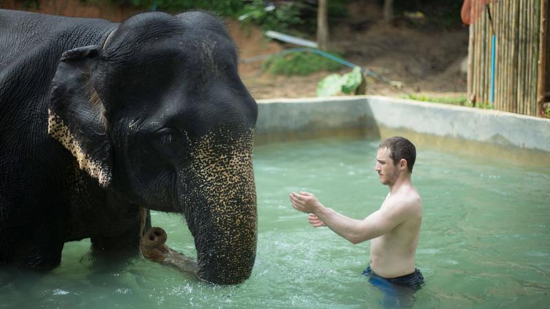 Гость поливает слона водой в бассейне Kok Chang Safari