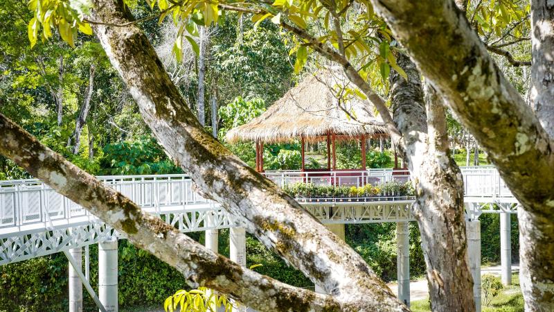Белая надземная тропа с беседкой среди деревьев в Phuket Elephant Sanctuary