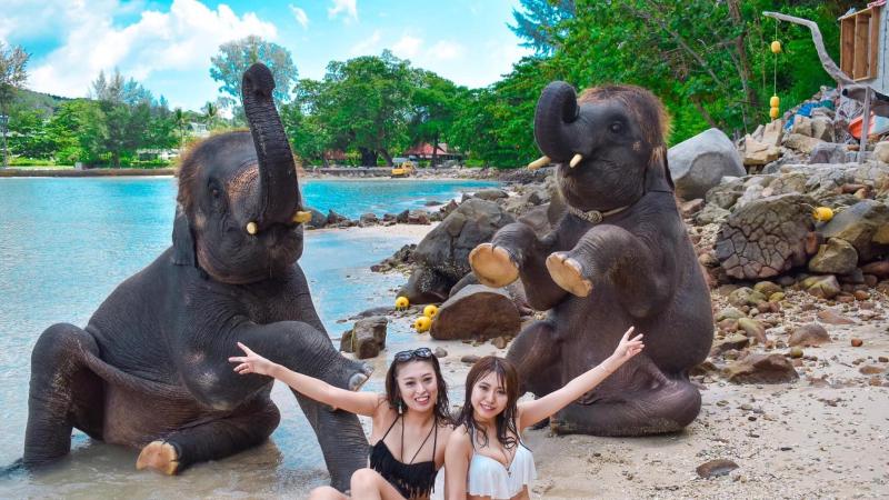 Пляж со слонами у Патонга: слоны сидят на песке у скал Lucky Beach, рядом две девушки в купальниках