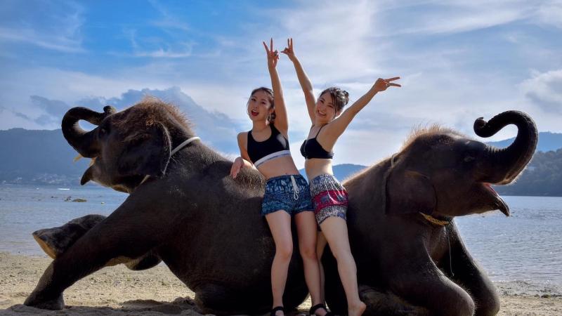Два слона лежат на песке Lucky Beach, рядом две девушки машут руками