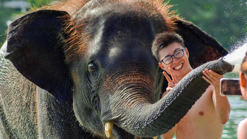 Слонёнок брызгает водой из хобота, гость снимает селфи — Elephant Swims