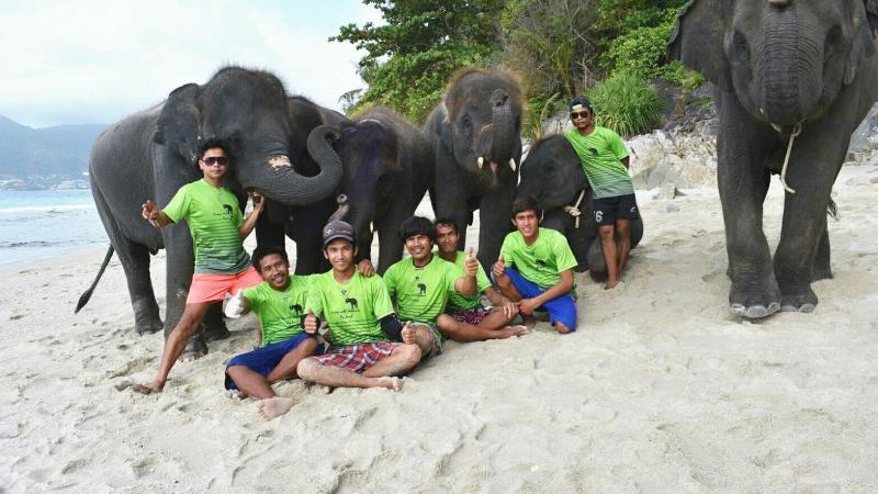 Погонщики Elephant Swims в зелёных футболках со слонами на песке Lucky Beach