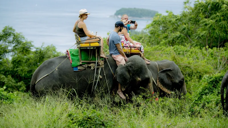 Катание на слонах на Пхукете: двое туристов на слоне на холме Kok Chang Safari, внизу море и остров