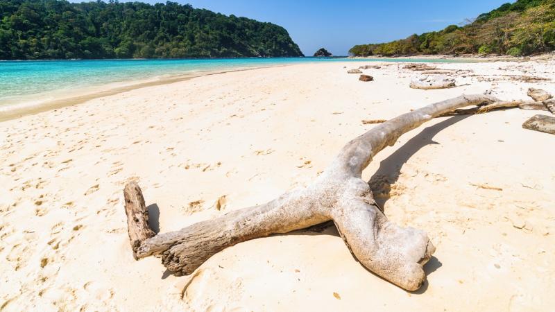 Белый песок и выбеленная коряга на пляже у бирюзовой воды — экскурсия на острова Рок и Хаа