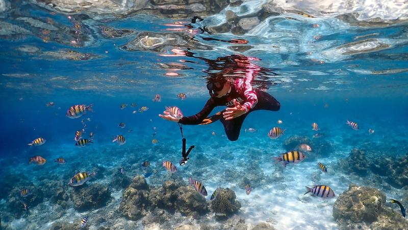 Снорклинг над кораллами среди стаи полосатых рыб в прозрачной воде