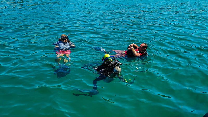 Снорклинг и дайверы на поверхности бирюзового моря