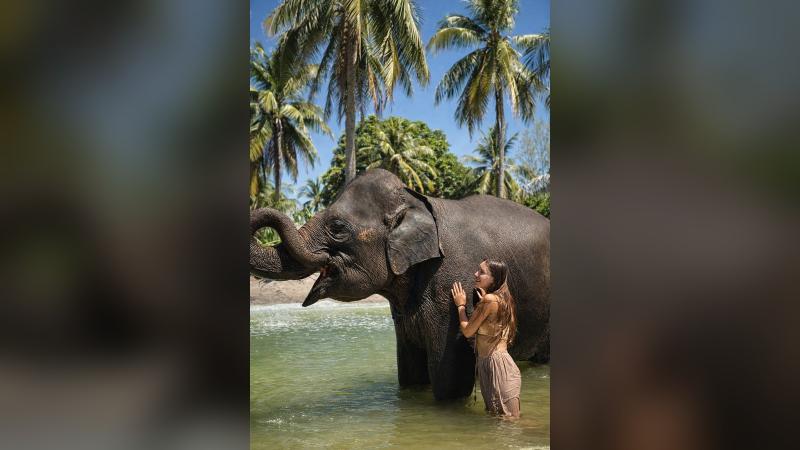 Девушка гладит слона, который стоит в воде у берега на пляже слонов