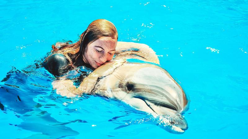 Девушка обнимает дельфина в воде во время плавания с дельфинами в дельфинарии Dolphins Bay