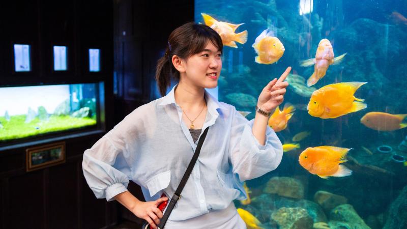 Девушка у аквариума с тропическими рыбами в Underwater World Pattaya