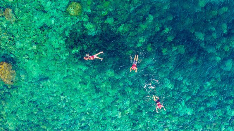 Снорклинг в прозрачной воде над рифом