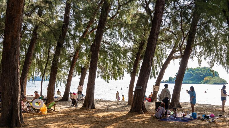 Казуарины на берегу и купающиеся отдыхающие