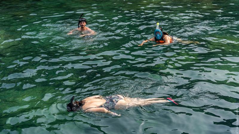 Снорклинг в бирюзовой воде у острова Ко Вао