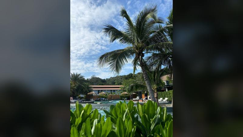 Территория отеля Andaman Beach Resort: кокосовые пальмы над бассейном и корпуса