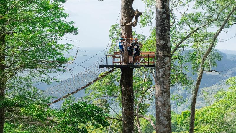 Высокая платформа на дереве и подвесной мост над джунглями — зиплайн Patong Mountain View над Патонгом