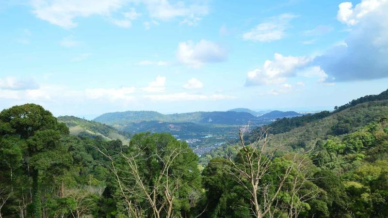 Вид с холма парка Patong Mountain View на джунгли, долину и горы Пхукета