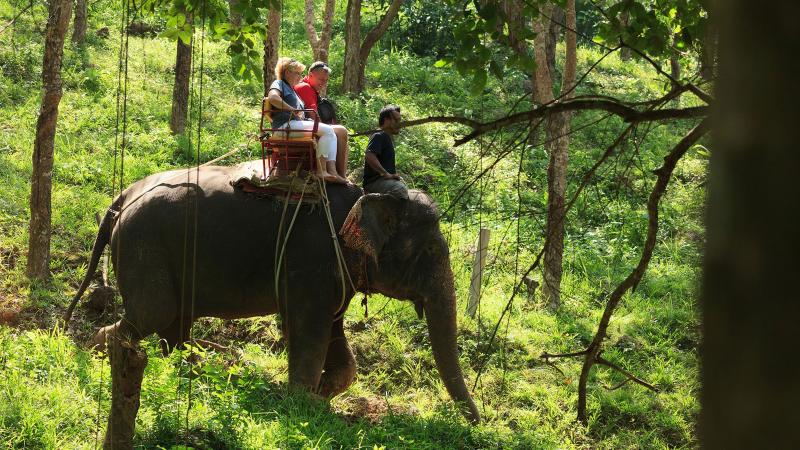 Слон с туристами в кресле и погонщиком идёт по зелёному склону в Kok Chang Safari