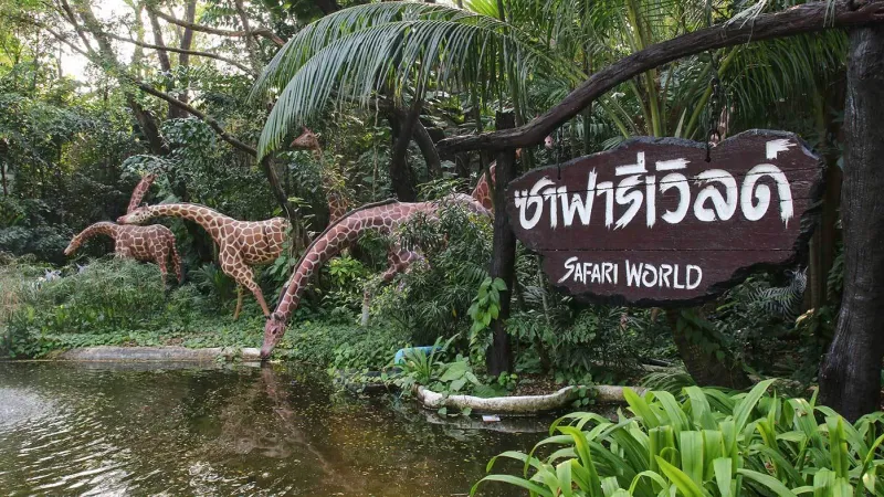 Вид на вход в парк с деревянным указателем "Safari World" на тайском и английском языках. На заднем плане видны фигурки жирафов, стоящих у пруда среди тропической зелени.