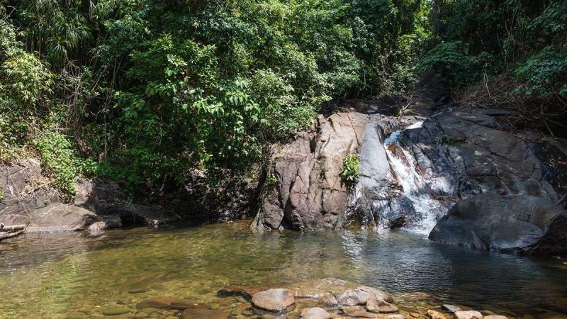 Небольшой водопад стекает по камням в прозрачную заводь в тропическом лесу