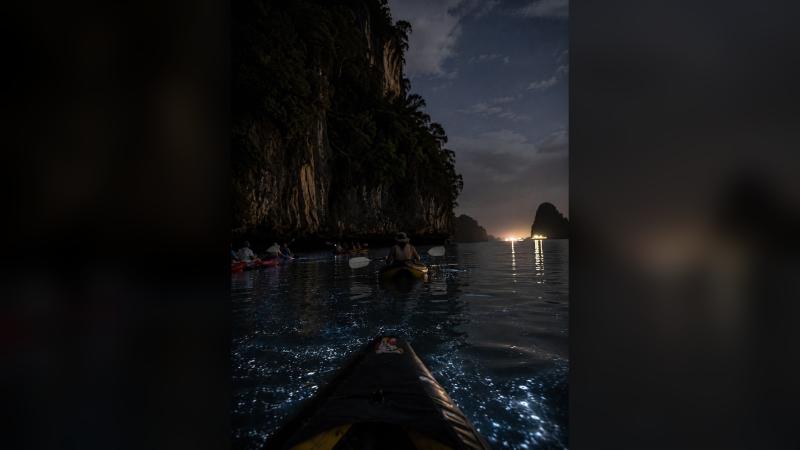 Ночью на каяке среди светящегося планктона: у носа лодки вода вспыхивает голубыми искрами