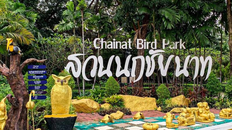 Вход в парк птиц Chainat Bird Park в Паттайе: табличка с названием на английском и тайском, золотая скульптура совы, стилизованное дерево с птицами и множество золотых фигурок животных на фоне тропической зелени.