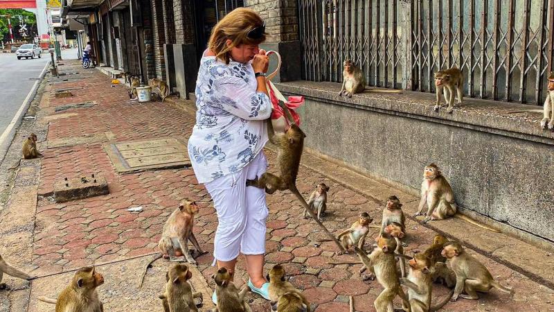 Женщина стоит на тротуаре в Паттайе, окружённая стайю обезьян, одна из которых висит на её сумке. Вокруг на брусчатке и на подоконнике здания сидят другие приматы, а на заднем плане видна улица с автомобилями.