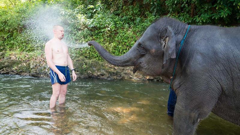 Слон стоит в реке и обдаёт водой из хобота мужчину, стоящего по колено в воде
