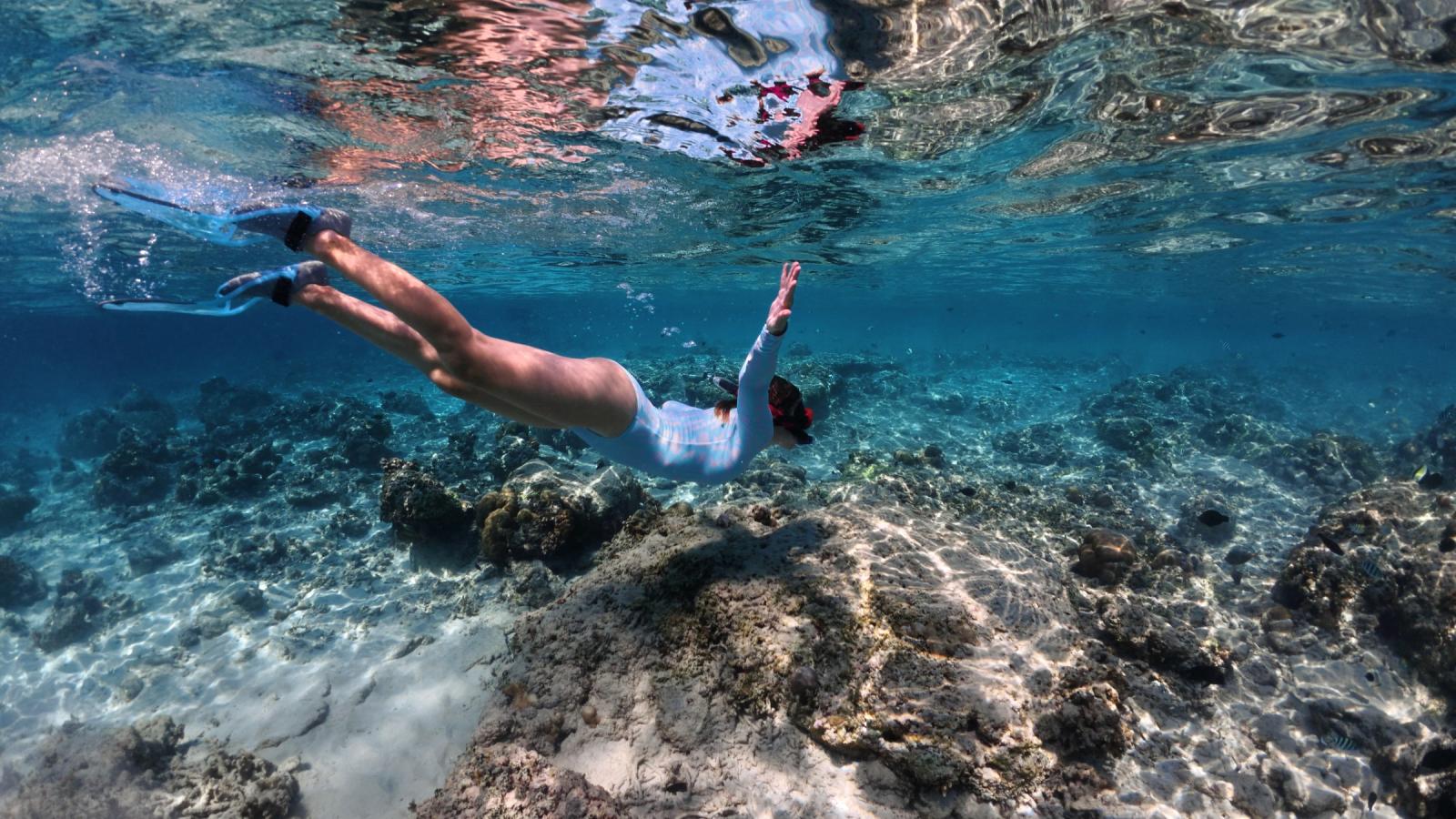 Снорклинг над коралловым рифом в прозрачной воде
