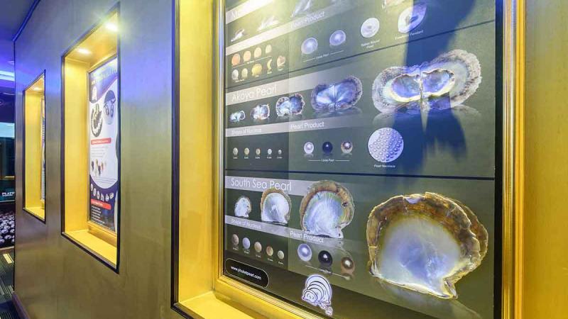 Витрина магазина жемчуга с золотыми рамами, внутри которой на фоне золотистой подложки размещены информационные панели с фотографиями устриц и образцами жемчужин. На стендах видны названия видов жемчуга, такие как Akoya Pearl и South Sea Pearl.