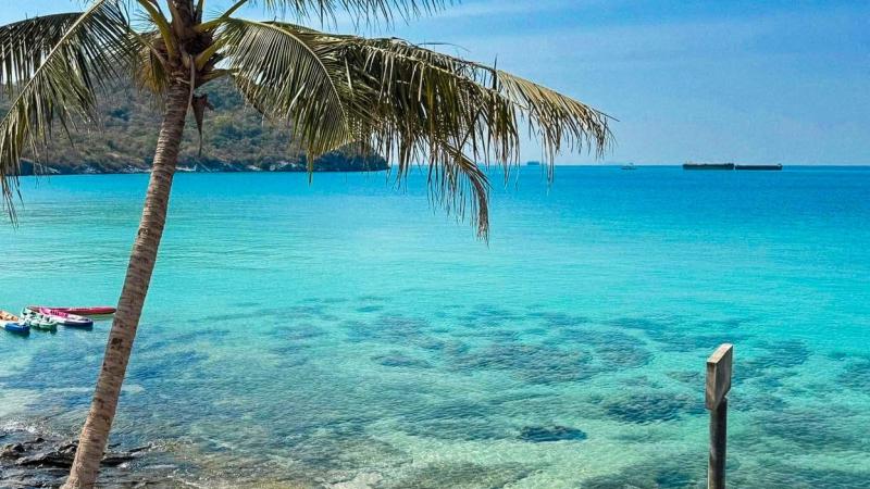 Пальма на переднем плане над бирюзовой водой с видимым коралловым рифом. На горизонте видны горы и корабли, а у берега стоят лодки.